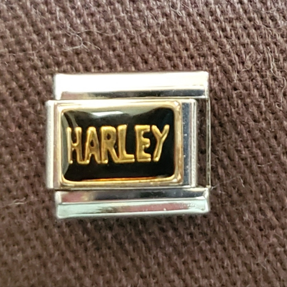 Daria by Dynaflex "HARLEY" stainless steel Italian bracelet charm